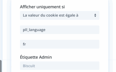 Divi & Polylang: display your modules by language with pll_language